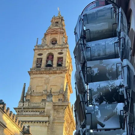 Campanario De La Magdalena Cordoba